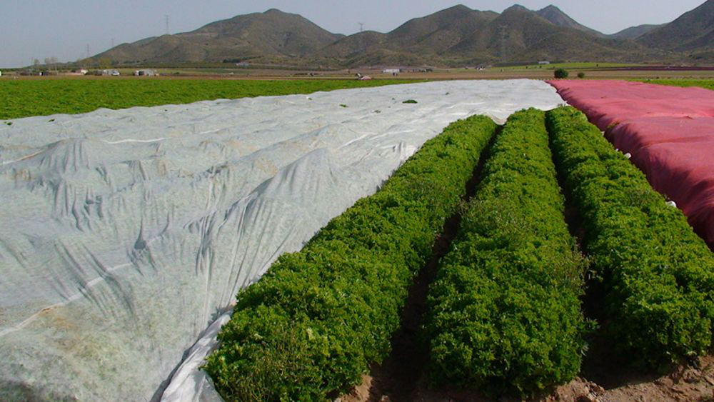 Ventajas y usos de la manta térmica (agricultura y ganadería