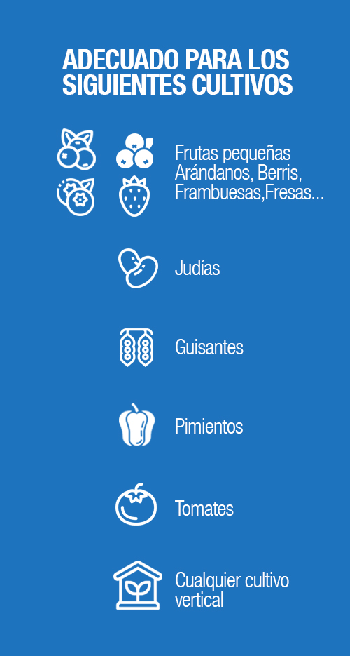 entuorado1