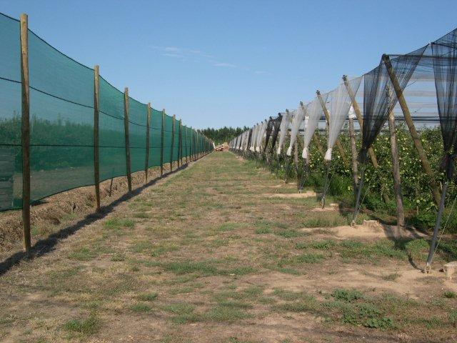 Cortavientos 17 1