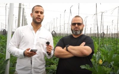 Visitamos la finca de Paco Martínez Tortosa de TODOBLANC