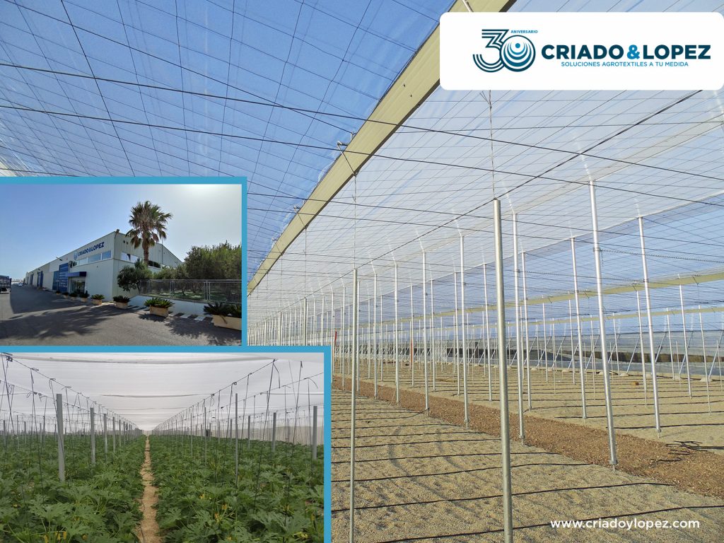 Es el momento de proteger tu cultivo frente al frio 1 montajeplastico1