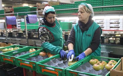 competitividad productividad sostenibilidad bio nutricion bio proteccion 1504359614 126015611 667x375