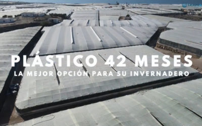 plastico cubierta cultivos