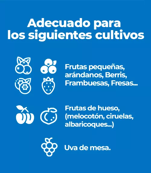 4es 4es